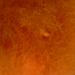 Samalon Orange S4RLN