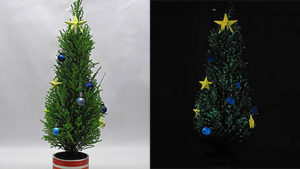 光るクリスマスツリー