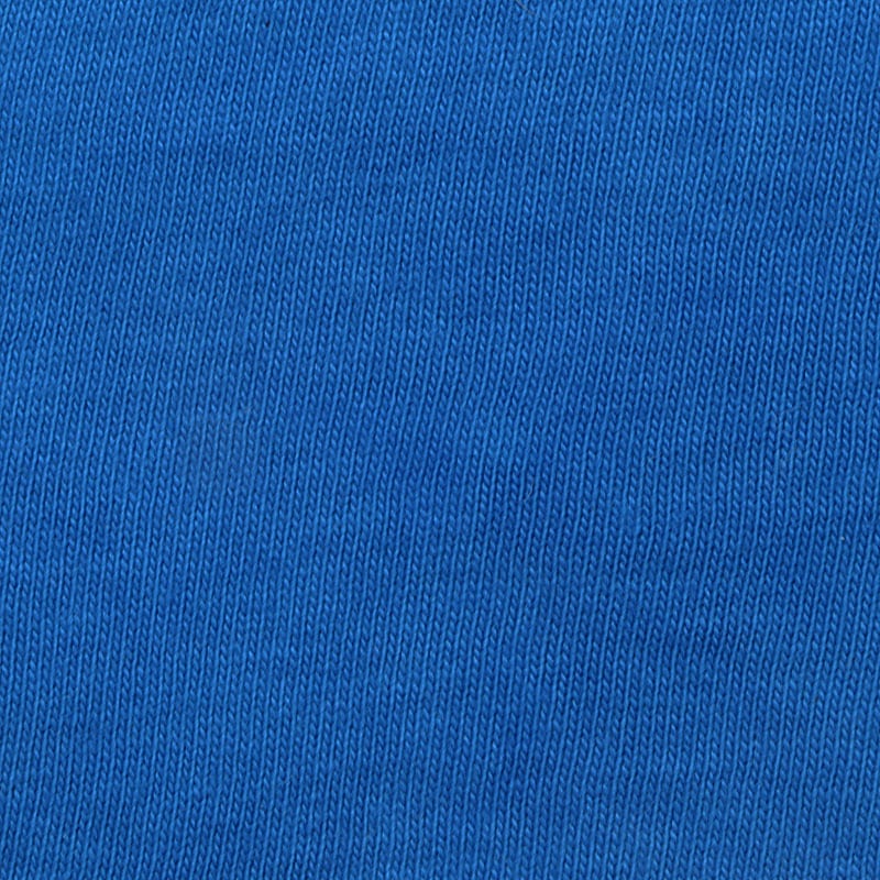 Sunfix Royal Blue FE-FR（サンフィクス ロイヤルブルー FE-FR - C.I.No.なし（混合品））【鮮やかな青・反応染料】染彩/SomeIRO