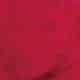 Samalon Red B-2B 200%（サマロン レッド B-2B 200%）【青みの赤・分散染料 - Dispers Red 60】染彩/SomeIRO