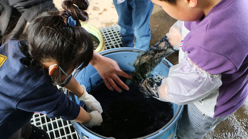 藍染めを楽しむ子供たち