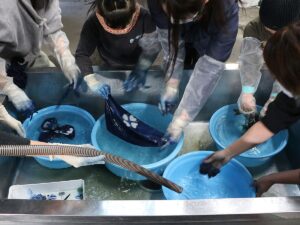藍染めを楽しむ子供たち